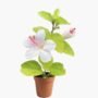 Hibiscus Plant (Gudhal Flower Plant-White)