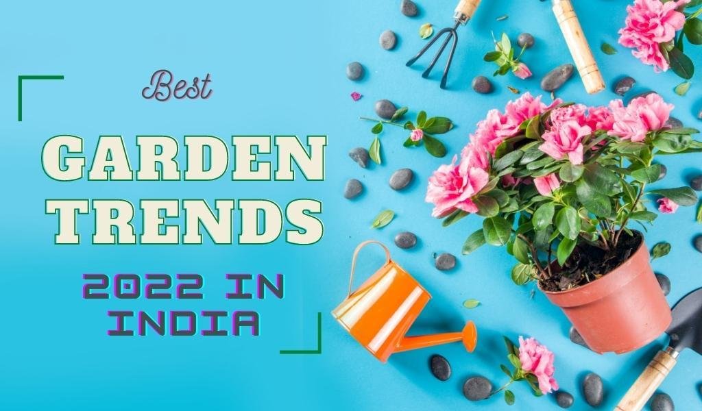 Garden Trends 2022 in India