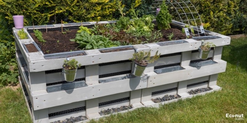 Raised Bed with Built-In Benches.jpg