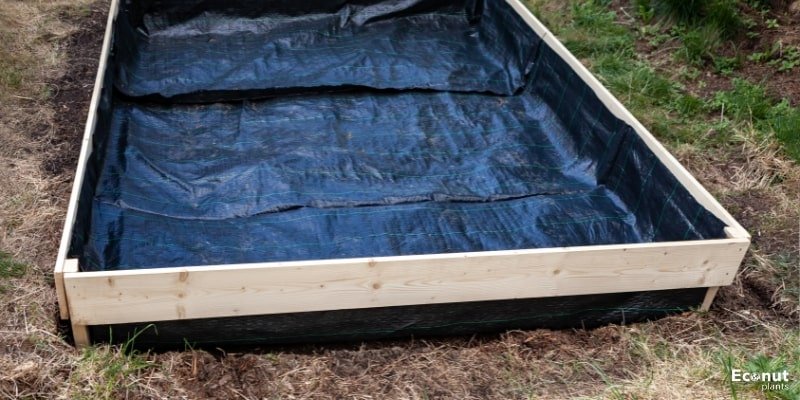 Simple and Functional Raised Garden Bed.jpg