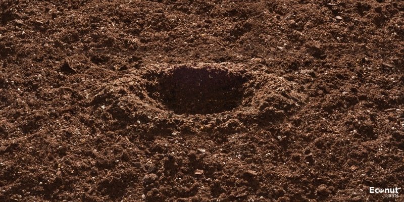 Soils.jpg