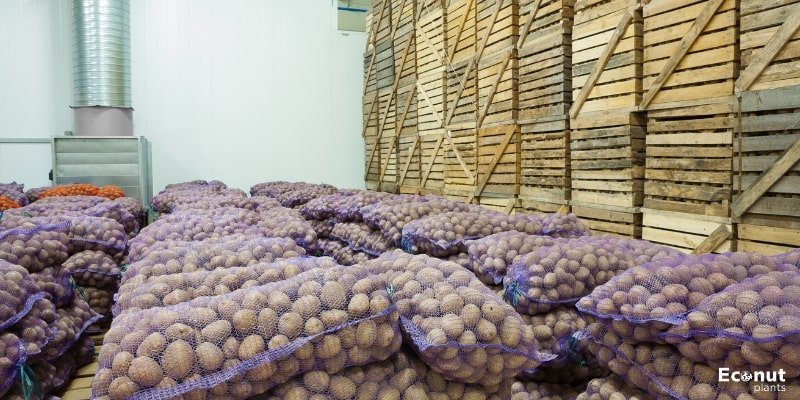Storage Potatoes.jpg

