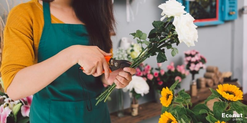 Trim Flowers Carefully.jpg
