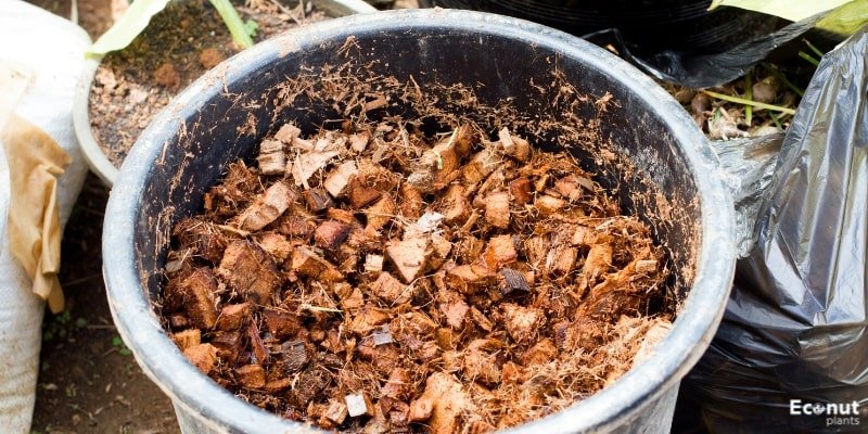 Coconut Coir Used Gardening.jpg
