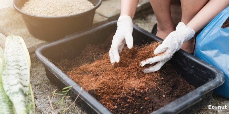 Potting Soil.jpg
